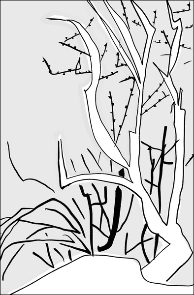 장병언, Digital Drawing, digital_work, 2026